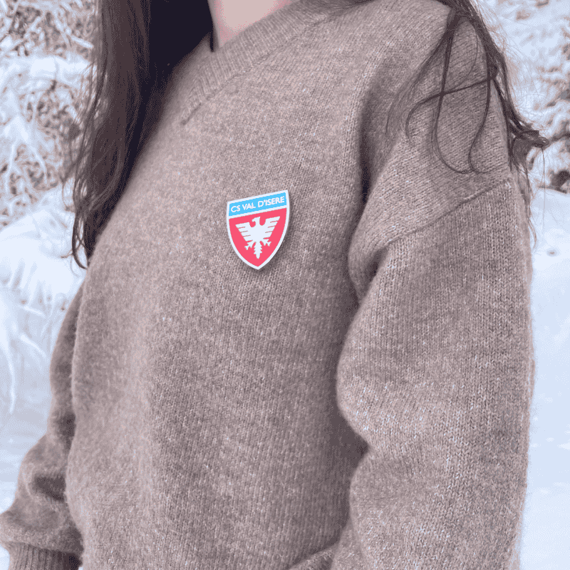 Pin's CSVI