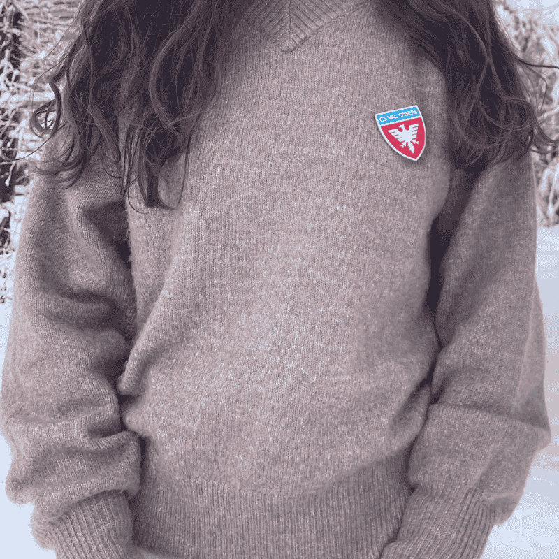 Pin's CSVI